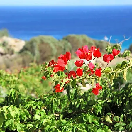 Nama Hotel Super Paradise Beach (Mykonos)