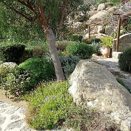 Hotel Nama Super Paradise Beach (Mykonos)